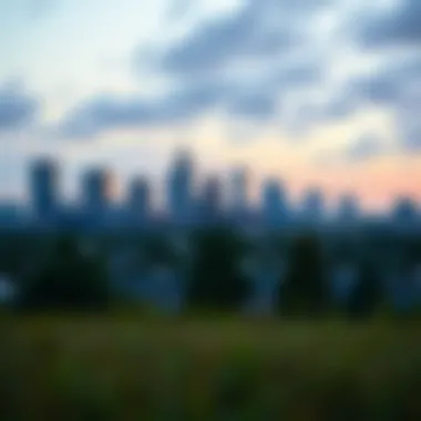 A panoramic view of St. Petersburg skyline showcasing residential areas