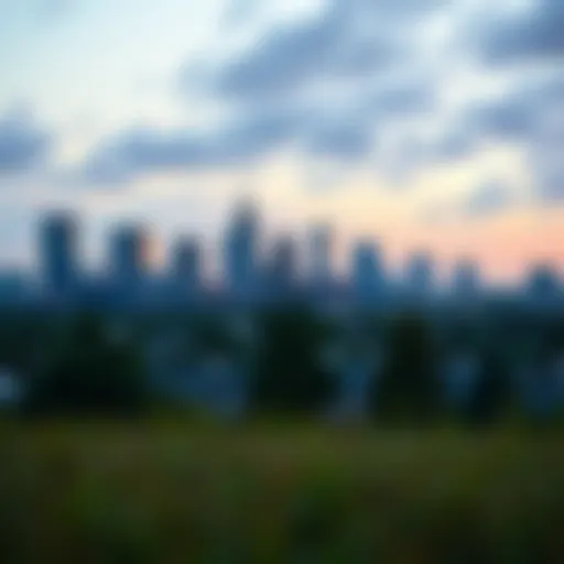 St. Petersburg Skyline: A Glimpse into Residential Living A panoramic view of St. Petersburg skyline showcasing residential areas