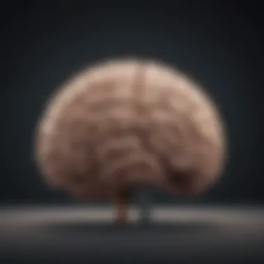 A conceptual image of a brain symbolizing psychological factors in buying