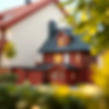 Impact of Property Management on Rental Profitability Visual representation of rental investment profitability influenced by management services