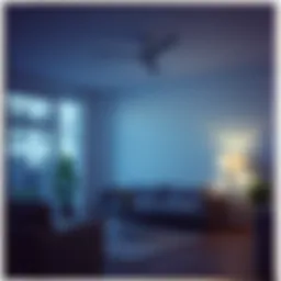 Conceptual depiction of renters insurance and stern risk